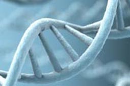 免费版本终身的ddos攻击器安卓ios下载